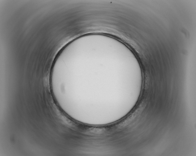 X0000112081513200909011033