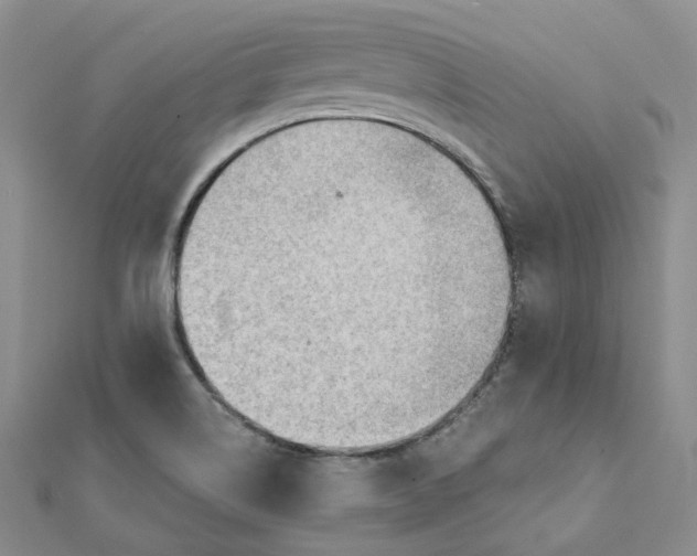 X0000112081514200909011033