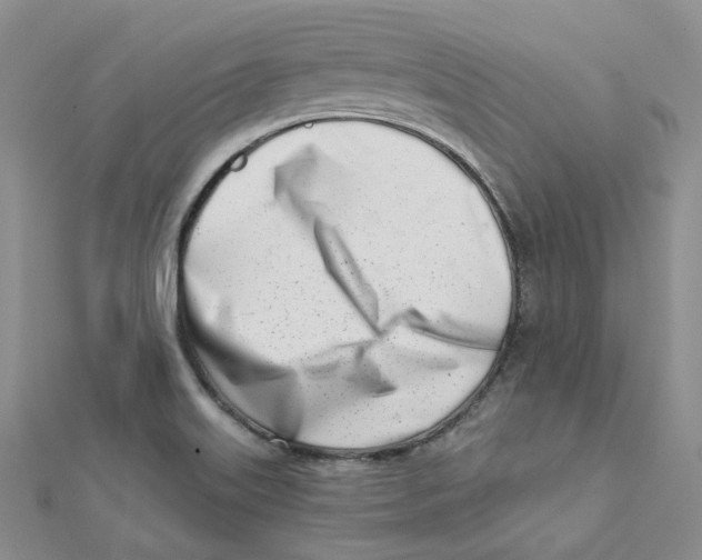 X0000112081515200909011033