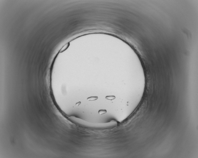 X0000112081516200909011033