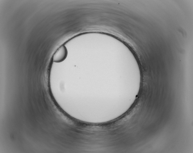 X0000112081517200909011033