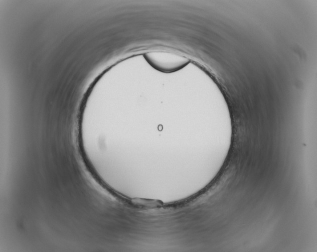 X0000112081518200909011033
