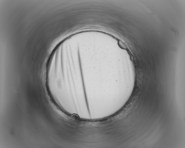 X0000112081519200909011033