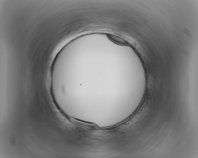 X0000112081520200909011033