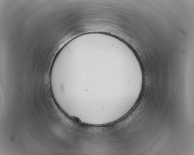 X0000112081521200909011033