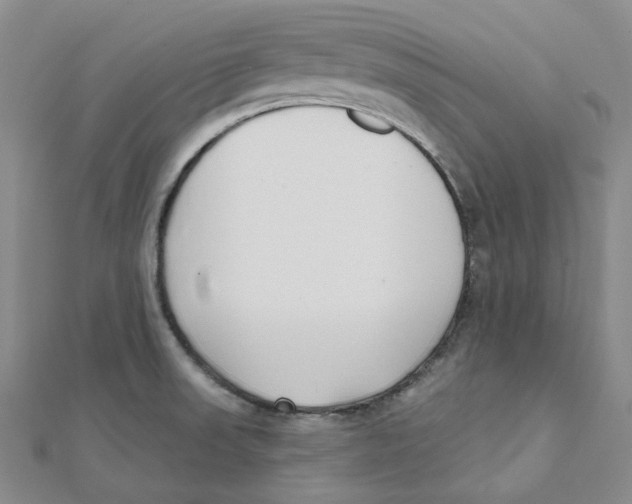 X0000112081523200909011033