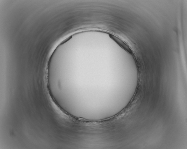 X0000112081524200909011033