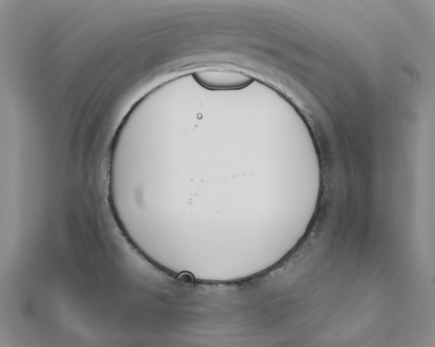 X0000112081526200909011033