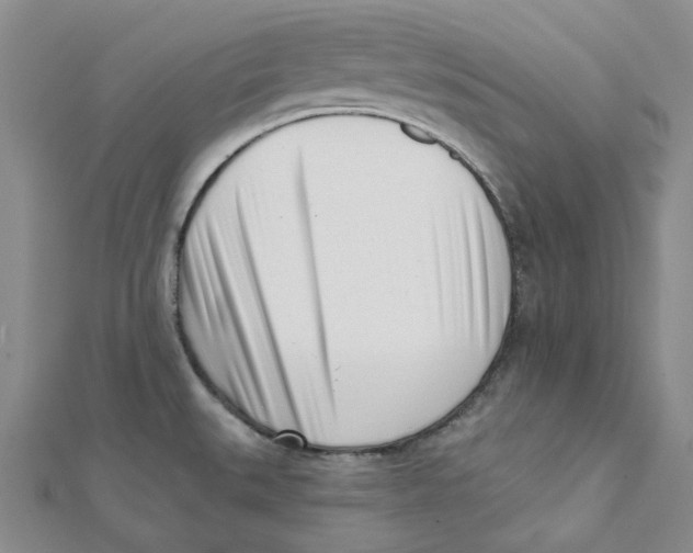 X0000112081527200909011033