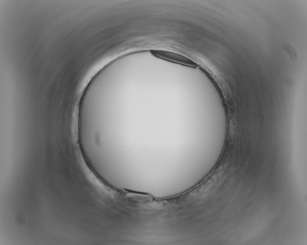 X0000112081528200909011033