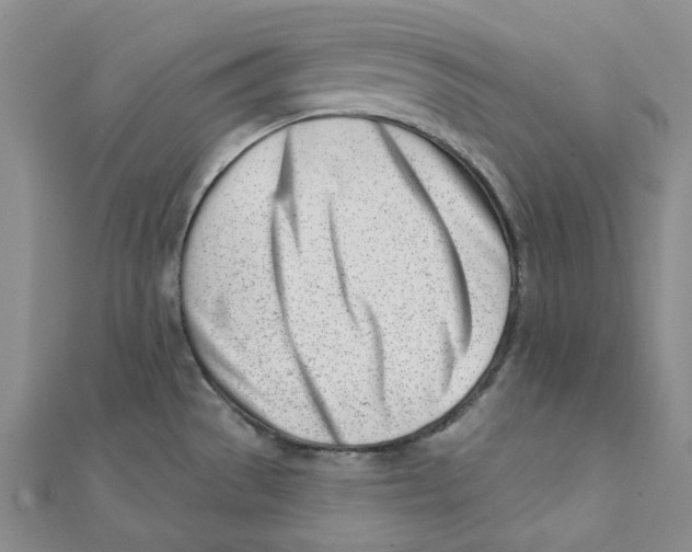 X0000112081529200909011033