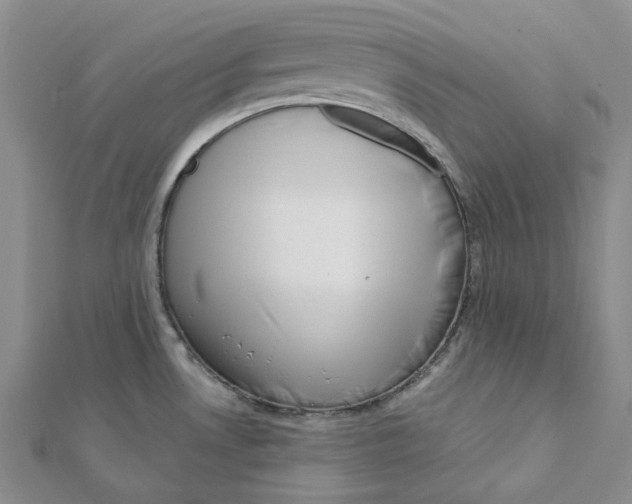X0000112081530200909011033