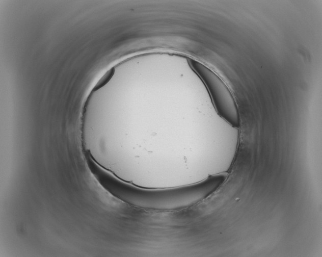 X0000112081532200909011033