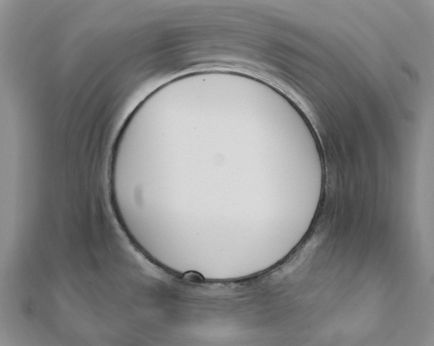 X0000112081533200909011033