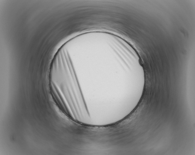 X0000112081534200909011033