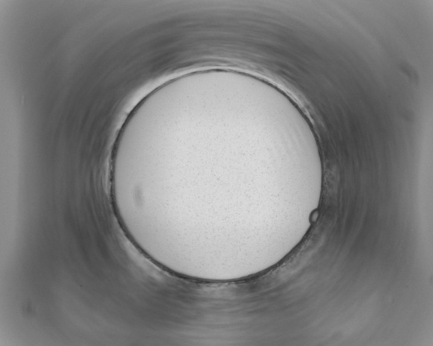 X0000112081535200909011033
