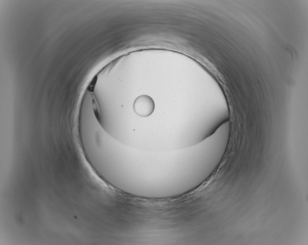 X0000112081536200909011033