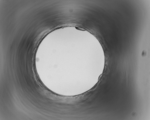 X0000112080001200909151123
