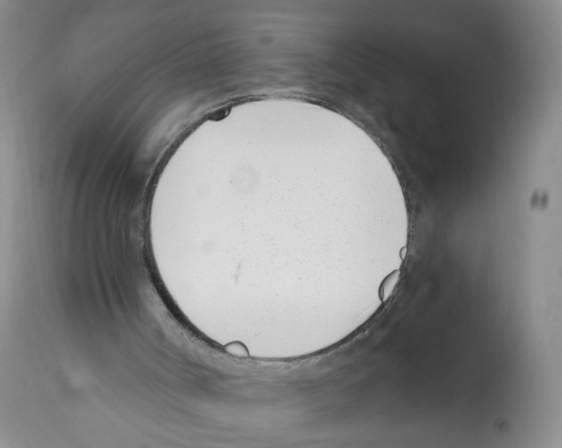 X0000112080002200909151123