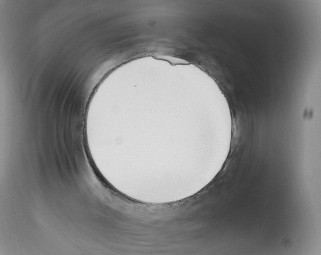 X0000112080003200909151123
