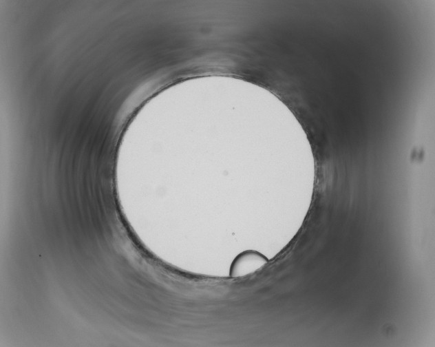 X0000112080004200909151123