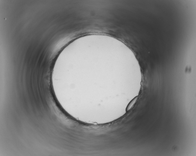 X0000112080005200909151123