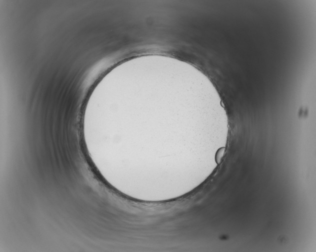 X0000112080006200909151123