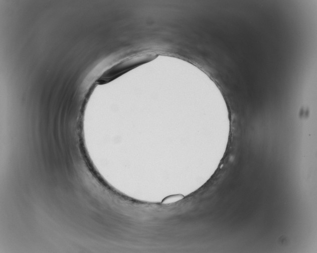 X0000112080007200909151123