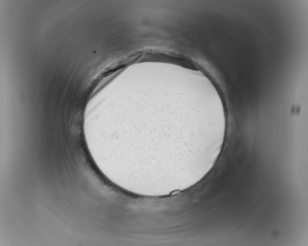 X0000112080009200909151123