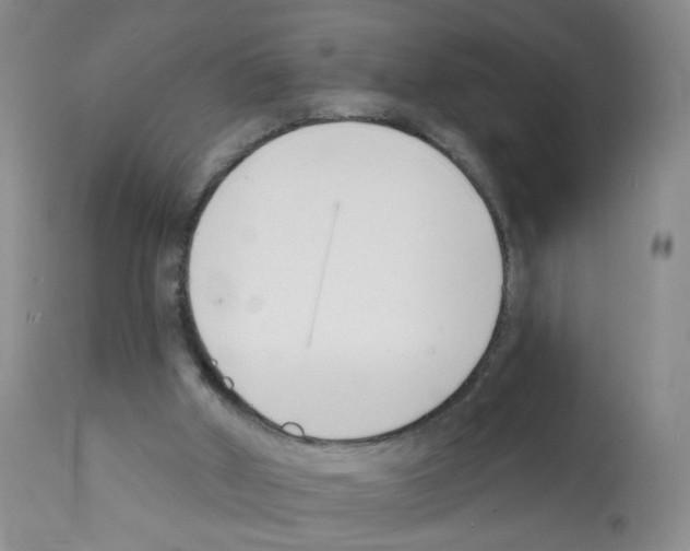 X0000112080010200909151123