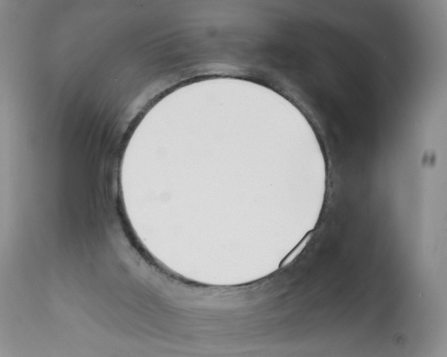 X0000112080011200909151123