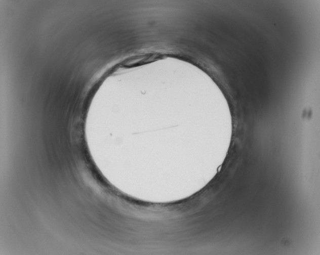 X0000112080012200909151123
