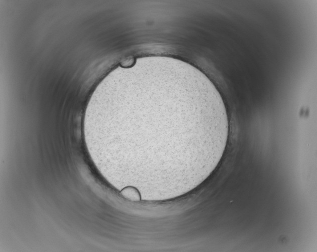 X0000112080014200909151123