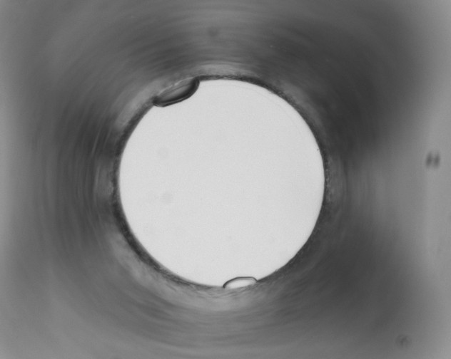 X0000112080015200909151123