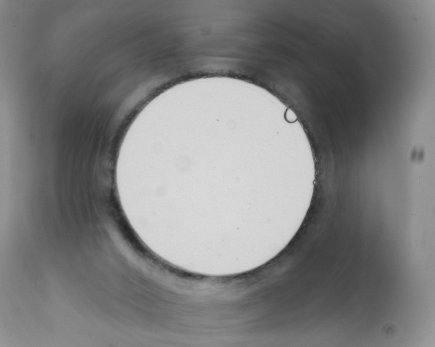 X0000112080016200909151123