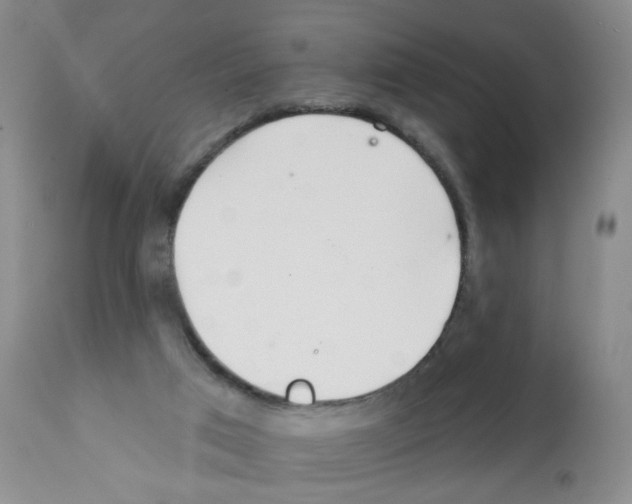 X0000112080017200909151123