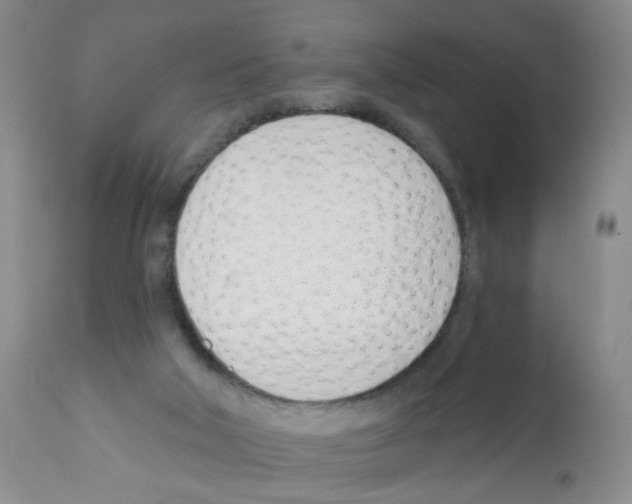 X0000112080018200909151123