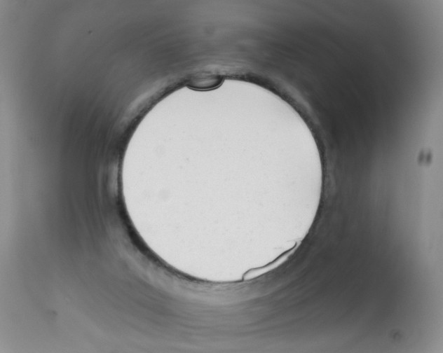 X0000112080019200909151123
