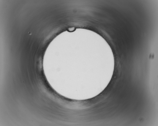 X0000112080020200909151123
