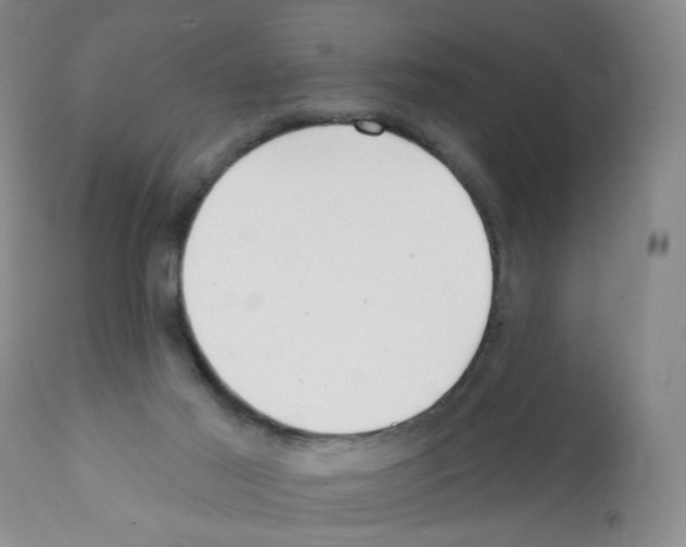 X0000112080021200909151123