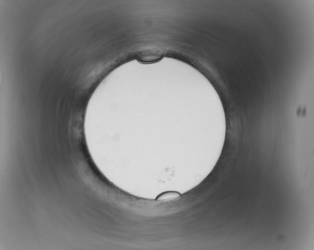 X0000112080023200909151123