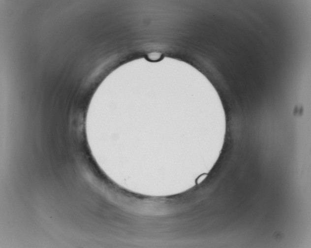X0000112080024200909151123