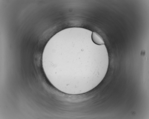 X0000112080026200909151123