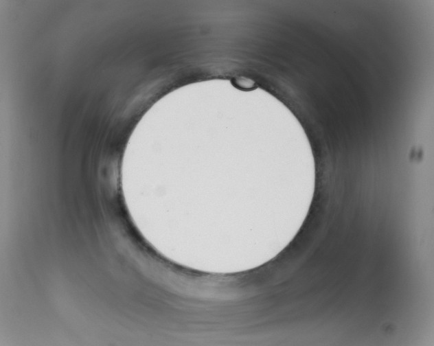 X0000112080028200909151123