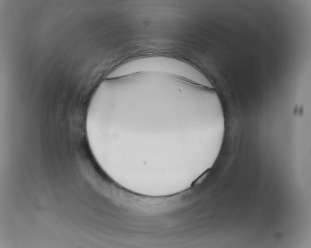 X0000112080031200909151123
