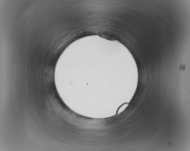 X0000112080036200909151123