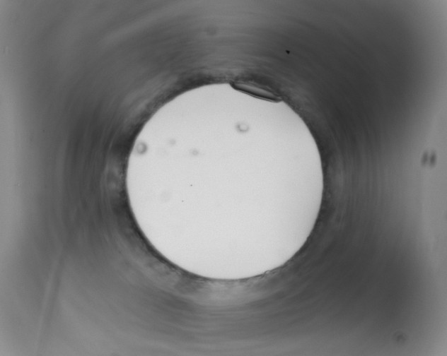 X0000112080037200909151123