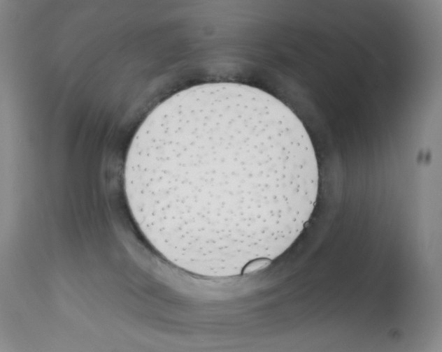 X0000112080038200909151123