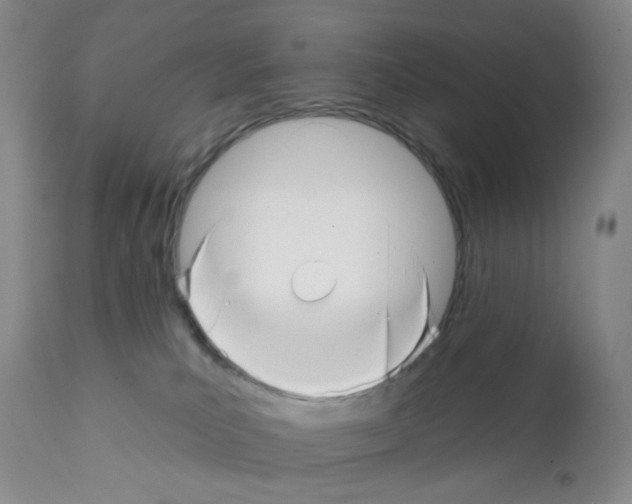 X0000112080039200909151123