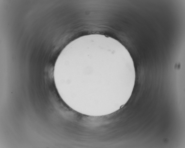 X0000112080041200909151123
